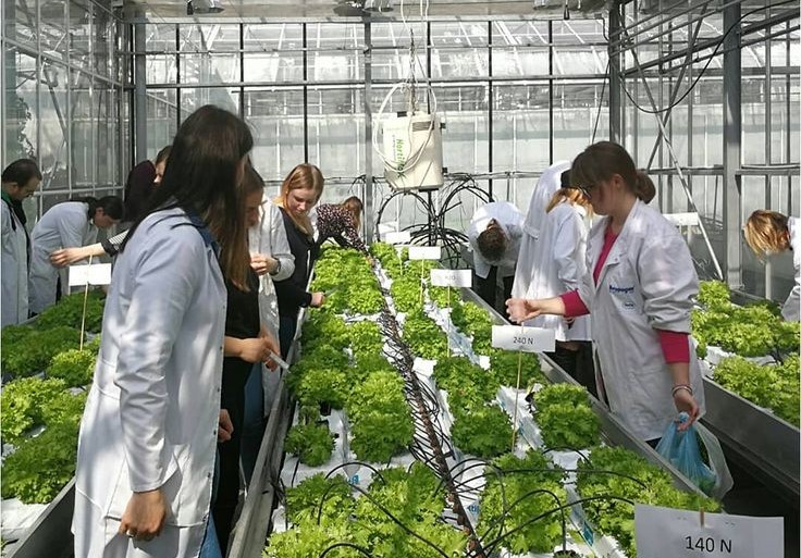 Agricultural Biology